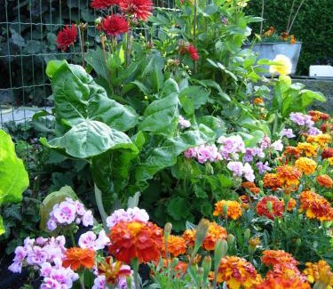 Le Nouvion-en-Thierache Hotel | Logis Hotel & Restaurant La Paix