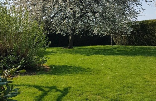 Billancelles House | L’Oliviade- Farm house in the heart of the French countryside