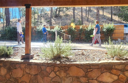 Whispering Pines Cabin | Lone Star Lodge in Whispering Pines w/Mountain View - Epic Pickleball Fun!n