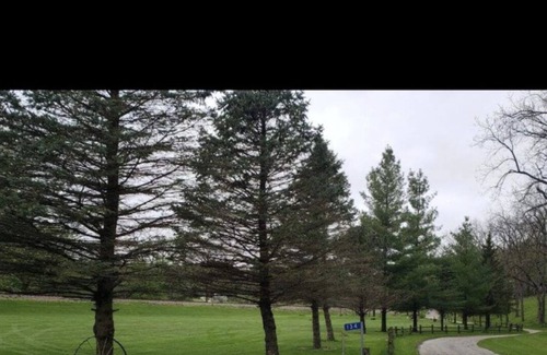 McGregor Cabin | Looking for a nice secluded area away!!!