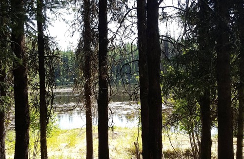 Condon Cabin | "Loon's Nest" rustic cabin hidden amongst the pines