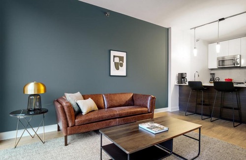 Downtown Chicago Apartment | Loop 1BR w Gym Pool WD nr Millennium Park CHI-237