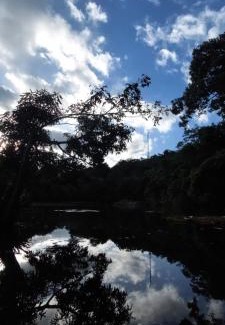 Potrero Grande Cabin | Los Chocuacos.