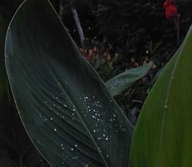 Potrero Grande Cabin | Los Chocuacos.