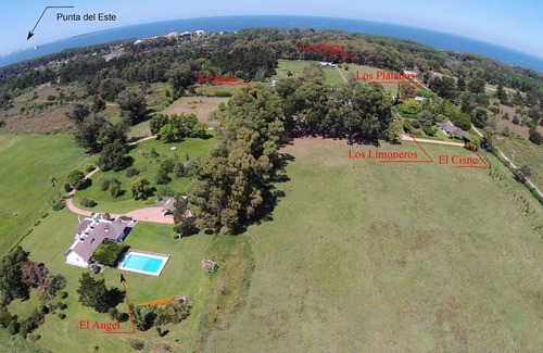 Punta Ballena Cottage | Los Platanos at Granja Henderson