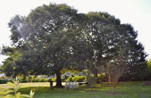 Silleda Apartment | Los Tres Soles