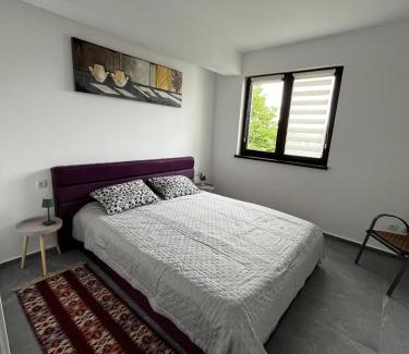 Alba Iulia Apartment | Louisa Suite