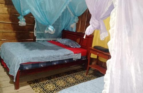 Ramonurcu Other | Lovely Amazon Rainforest Retreat