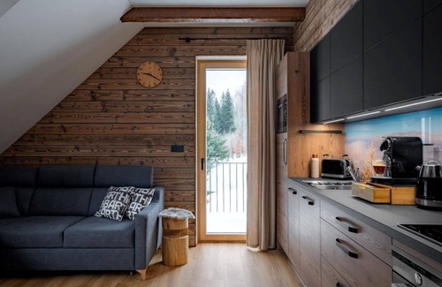 Dolni Morava Apartment | Lovely apartment for 6 guests with WIFI, TV and terrace