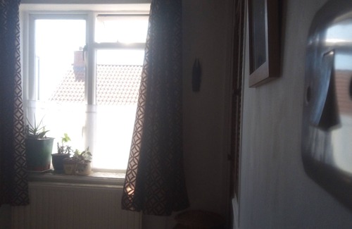 Glastonbury House | Lovely Double room to rent by Glastonbury Spring and The Tor.