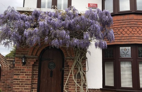 Eltham South Villa | Lovely Family House in Sidcup