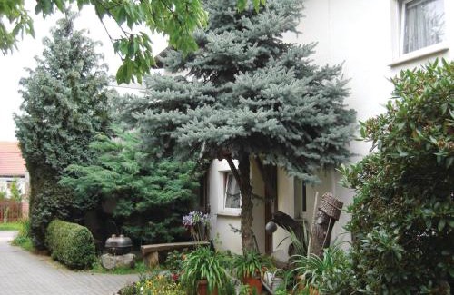 Langengrassau House | Lovely Home In Heideblick With Kitchen