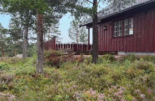 Nissedal House | Lovely home in Treungen with sauna