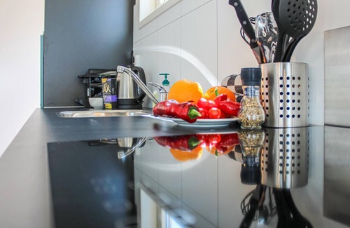 Municipality of Aalsmeer Boat Rental | Lovely ship in Aalsmeer with kitchen