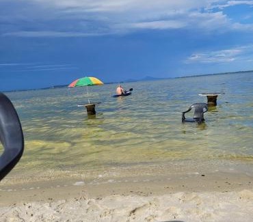 Ponte dos Leites House | Lugar de descanso e muito verde praia e lagoa Araruama