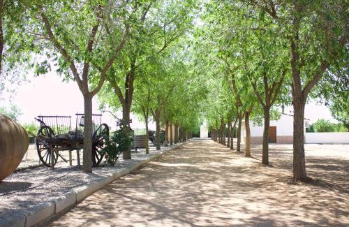 Argamasilla de Alba House | Lujosa casa en la cuna del Quijote