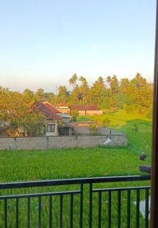 Purwakerti House | Lumbung Sari Home Stay