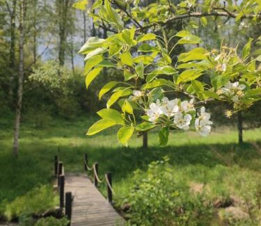 Lesna Bed & Breakfast | Lusatia Farm