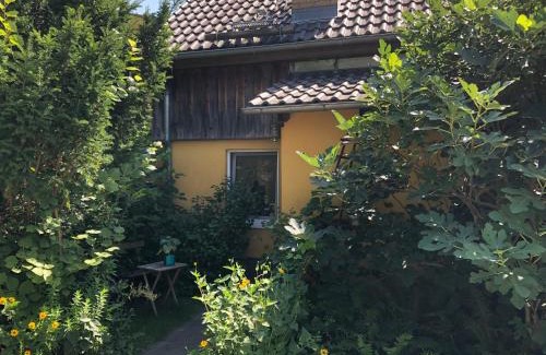 Lubben House | Lutki Dom