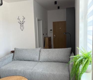 Trencin Apartment | LUX 3 bedroom apartman