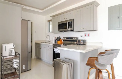 Barbican Apartment | Luxe City Oasis 2bdrm apt in Kingston w/AC, WiFi, Gym and Rooftop Pool