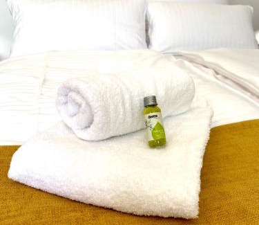 Mainz-Bingen Apartment | Luxuriöses Penthouse mit Parkplatz zentral in Eltville