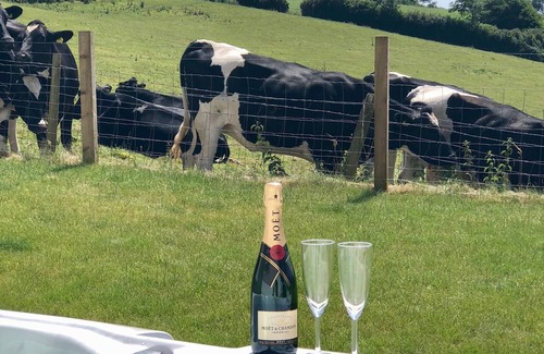 West Down House | Luxurious 4 Bed Property, All Ensuite, Pet Friendly, Jacuzzi Nearby