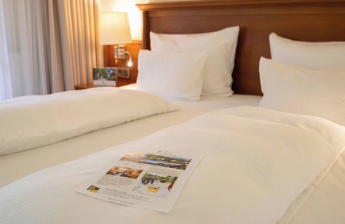 Ootmarsum Hotel | Luxurious and Charming Stay in Modern Room Near the Tranquil Twente Region