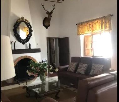 Palma del Rio Villa | Luxurious Villa in Córdoba + Pool