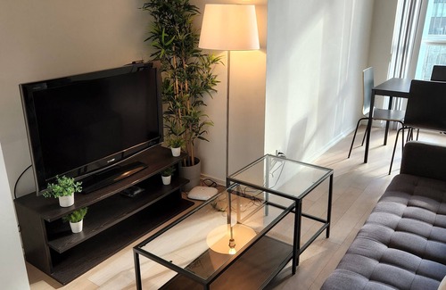Financial District Condo | Luxury 1- Bedroom Luxury Toronto Downtown Condo