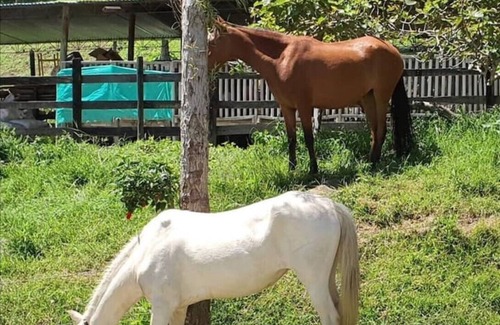 Bello Apartment | Luxury Cabins Ride Free