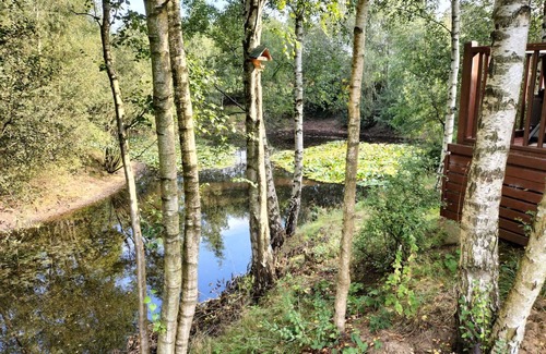 Norwich Cabin | Luxury Fishing Lodge - Fat Rascals Retreat