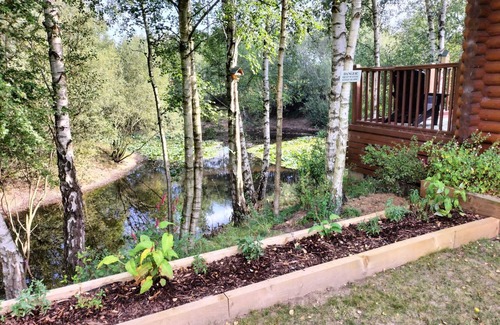 Norwich Cabin | Luxury Fishing Lodge - Fat Rascals Retreat