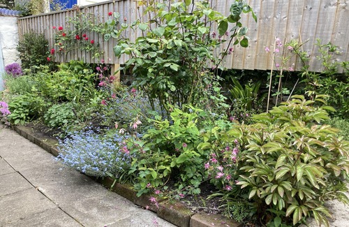 Flushing Cottage | Luxury holiday cottage set in the beautiful south Cornwall village of Flushing