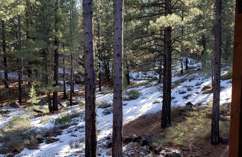 North Upper Truckee House | Luxury Home -Game & Theater Room -4000 Sqft nPermit no:073322 TOT#T64849