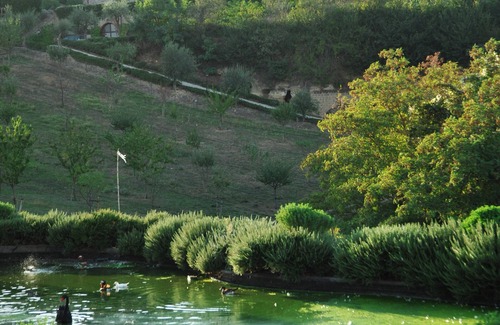 Castiglione in Teverina Villa | Luxury, Elegant, Charming Villa, Family Friendly