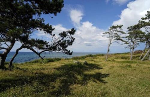 Dronningmolle House | Luxury Pool Villa in Dronningmolle - By Traum Ferienwohnungen