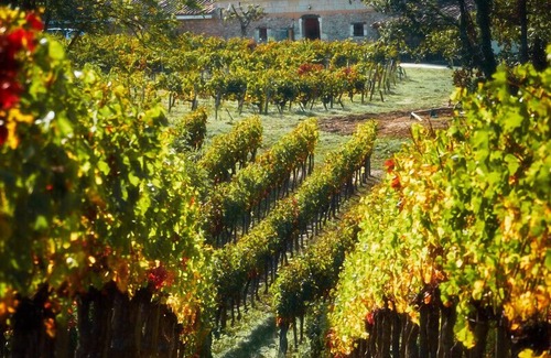 Saint-Ciers-de-Canesse House | Luxury Retreat,with private pool & vineyard, located within Bordeaux wine trails