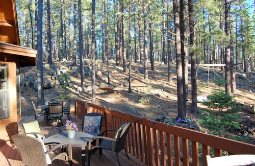 Parks Cabin | Luxury Secluded 4BR Cabin in Pines on 3 acres - Flagstaff/Grand Canyon