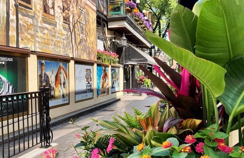 Bay Cloverhill Condo | Luxury Stay in Yorkville