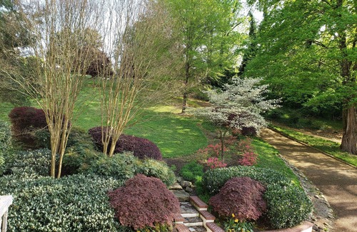 Downtown Knoxville Villa | Luxury Suite near University of Tennessee campus, pet friendly