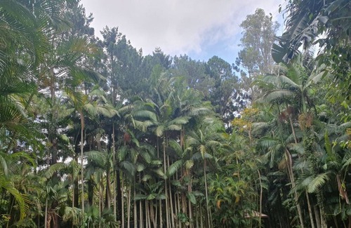 Tallai House | Luxury Tropical Sanctuary in Amazing Location