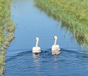 Seasalter Resort | Luxury Whitstable Caravan