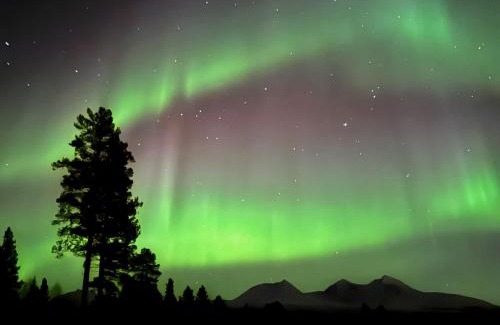 Malselv Other | Målselvfossen Feriesenter