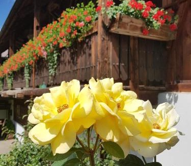 Rasun Anterselva House | Müllerhof