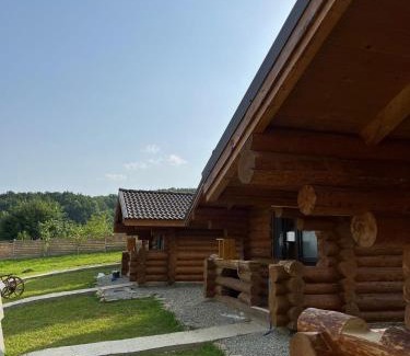 Salatrucel Cabin | M&V Infinit