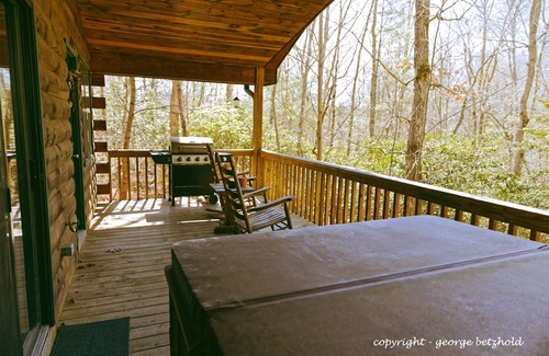 Murphy Cabin | MacDonald Cabin in Scottish Woods