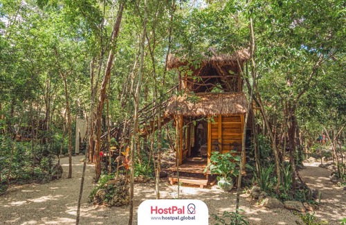 Leona Vicario Cabin | Madre Tierra Eco Habitat | Alberca natural y yoga