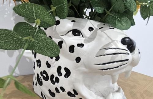 Ferrol Apartment | Magdalena, pleno centro