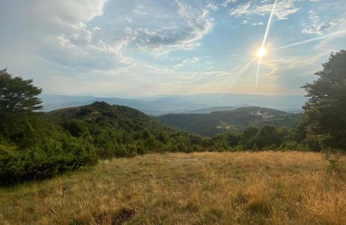 Lisina Apartment | Magia Vido Apartment-President Kop A109